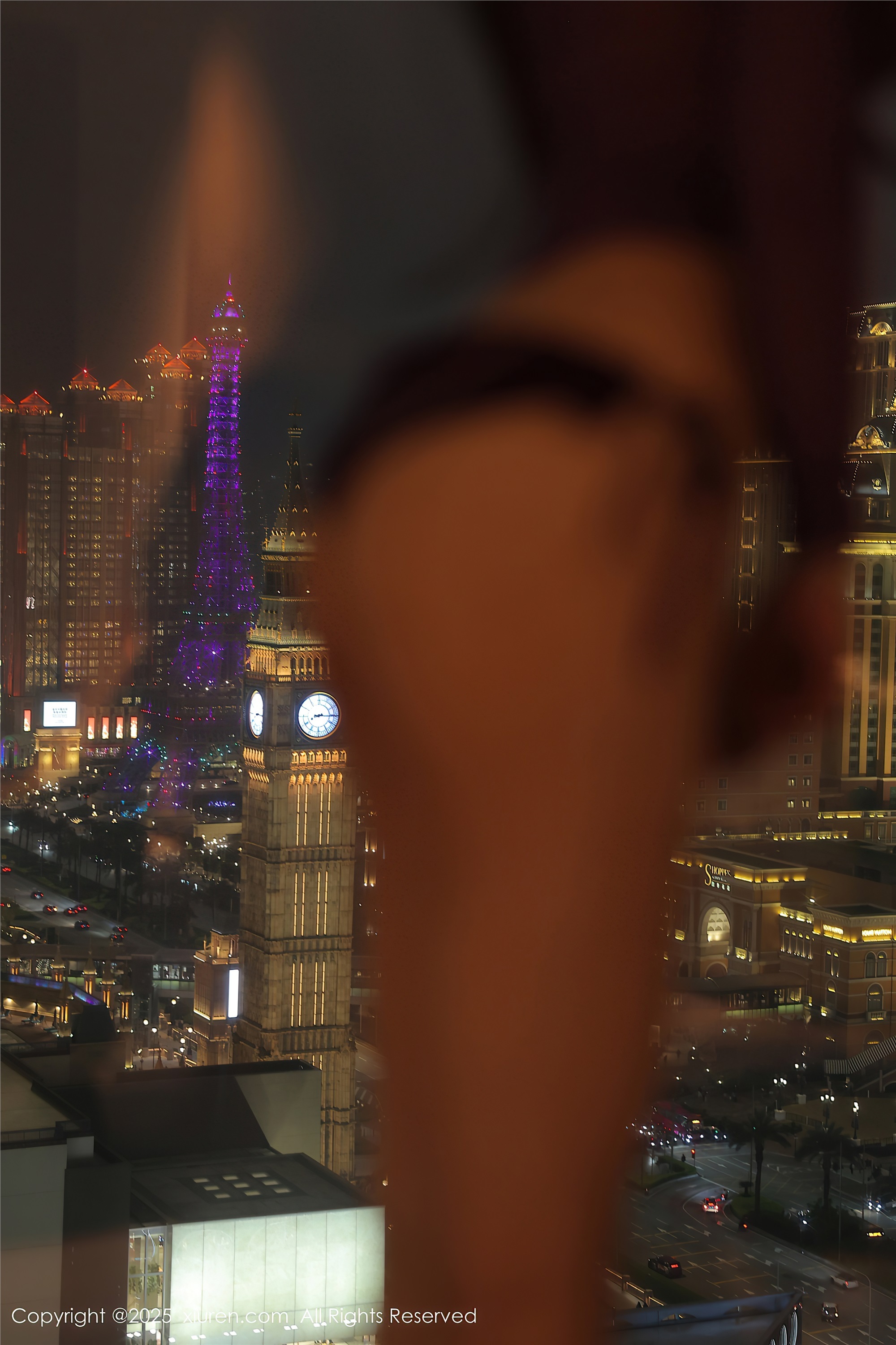 Xiuren秀人网 2025.02.13 NO.9876 媃柔rourou